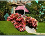 Hydrangea Flowers at Residence Tacoma Washington WA UNP Unused DB Postca... - $3.02