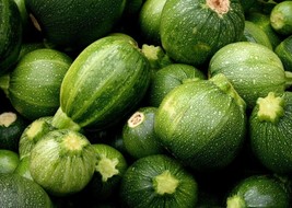 Grow In US Squash Zucchini Round Seeds 25 Ct Summer Vegetable Non-Gmo - £6.95 GBP
