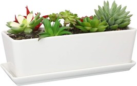 Modern Flower Cactus Herb Big Planter With Removable Saucer Sqowl 10 Inch - £33.00 GBP