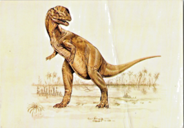 Postcard Dinosaur Dilophosaurus British Museum 6 x 4 Inches 1978 - £3.95 GBP