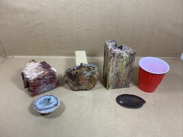 Fossil Petrified Wood &amp; other Rocks - £47.95 GBP