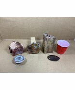 Fossil Petrified Wood &amp; other Rocks - $82.32 CAD