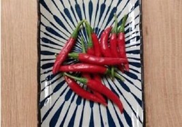 Korean Dark Green chili - 5+ seeds - Ch 228 - £1.56 GBP