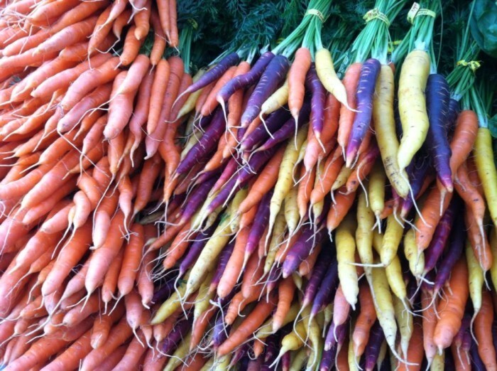 PSA 50 Rainbow Carrots Seeds Fast Grow - $14.60