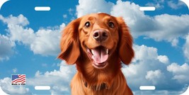 IRISH SETTER FACE CAN PERSONALIZE NOVELTY METAL LICENSE PLATE I - $6.00