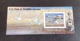 U.S. 2017 Federal Duck Stamp RW83a Trumpeter Swans $25 Mint Never Hinged - €41,98 EUR