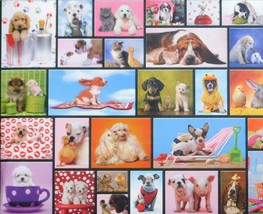 Educa Shared Moments 1000 pc Jigsaw Puzzle Dogs Puppies Collage - $19.79