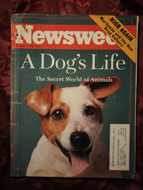 NEWSWEEK November 1 1993 Secret World Of Animals Marijuana Arthur Martinez Sears - £6.75 GBP