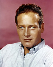Paul Newman handsome portrait Hollywood legend 8x10 Photo - £6.28 GBP