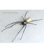 Golden Orb Weaver Nephila Vitiana Real Spider Framed Entomology Shadowbox - £59.75 GBP