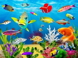 &quot;NEW&quot; Sea fish ocean underwater marine animals Jigsaw puzzle 500 piece boardgame - £29.84 GBP