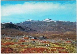 Postcard Norge View Of Boverdal Valley By Sognefjell Road  Mt Galdhopiggen - £3.85 GBP