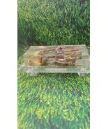 Bismuth Crystal Mineral Stunning ~ Handmade ~ Acrylic Stand - €24,46 EUR