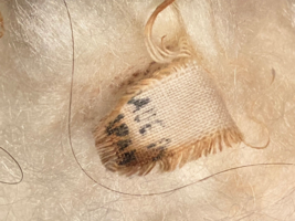 Item image 10