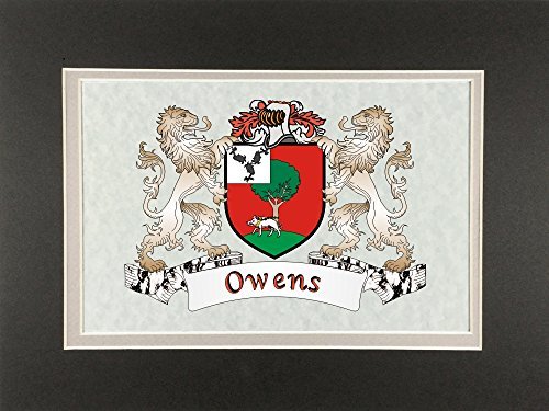 Owens Irish Coat of Arms Print - Frameable 9&quot; x 12&quot; - $24.00