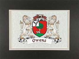 Owens Irish Coat of Arms Print - Frameable 9&quot; x 12&quot; - £19.07 GBP