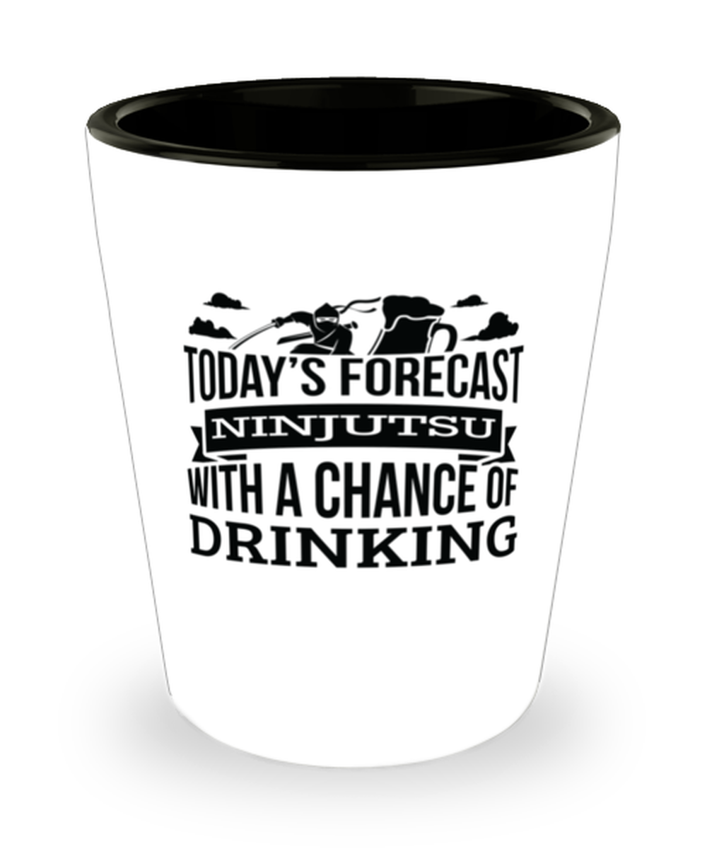 Today&#39;s Forecast Ninjutsu With A Chance Of Drinking Funny Shit Glass Gift  - $12.95