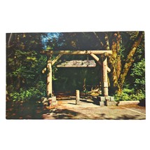 Postcard Gateway To Muir Woods National Monument Mill Valley California Chrome - $6.98