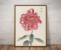Japanese Vintage art, Chrysanthemum, Poster and Canvas, Scientific Illus... - $12.00+