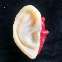 Item image 11