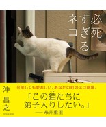 Photo collection Cat desperately desperate &quot;Hisshisugiru-neko&quot; Tatsumi Mook - £18.27 GBP