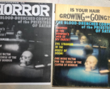 ADVENTURES IN HORROR #2 (1970) lurid crime magazine (cover logo stripped) - $14.84