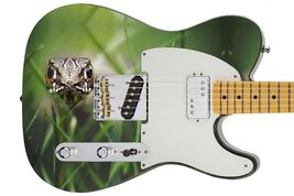 Guitar Skin Axe Wrap Re-skin Baby Mamba Snake 661 - $27.71+