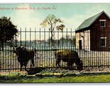 Buffalo in Columbia Park La Fayette Indiana IN UNP DB Postcard Y4 - $9.85