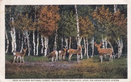 Deer Kaibab National Forest Cedar City Utah UT Union Pacific System Post... - $2.99