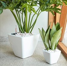 DTY Signature 2-Pack Smart Self-watering Planter Pot for Indoor &amp; Outdoor - £63.55 GBP
