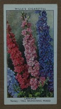 VINTAGE WILLS CIGARETTE CARDS GARDEN FLOWERS LARKSPUR # No 26 NUMBER X1 B2 - £1.37 GBP