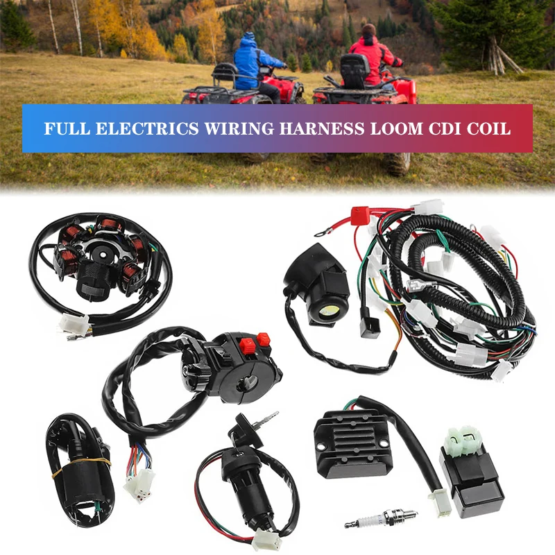 Motorcycle Full Complete Electrics Wiring Harness GY6 CDI  tor Pole Ignition Swi - £268.79 GBP