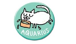 Cat Zodiac Refrigerator Magnet 07 - Aquarius - $100.00