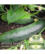 LD 50 Marketmore 76 Cucumber Seeds Non-Gmo Heirloom Fresh Fast Growing - $17.53 CAD