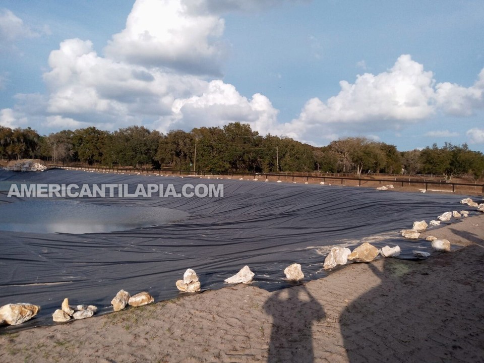 Pond liner 30 mill HDRPE 150X250 UV Resistant,Durable,Fish pond, Free Shipping! Item image 12