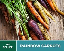 100 Seeds Carrot Rainbow Blend Seed Daucus carota Heirloom Vegetable Non GMO - £15.42 GBP