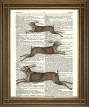 Springender Hasen Kunst: Braune Tier Aufdruck, Wandbehang Auf Vintage Wörterbuch - £5.19 GBP