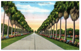 Palm Lined Highway Rio Grande Valley Florida Postcard Posted - £5.21 GBP
