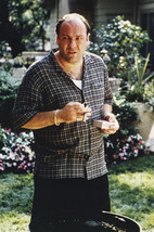The Sopranos James Gandolfini as Tony Doing Barbecue 24x18 Poster - £18.80 GBP