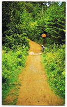 Prince Edward Island Postcard Cavendish Anne of Green Gables Haunted Woods - £1.72 GBP