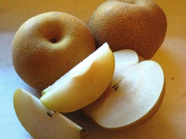 5 Pear Chinese White Sand Pear Seeds - $91.79 MXN
