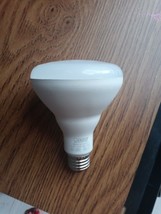 Feit Electric Used Lightbulb - $18.69