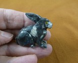 (y-bun-41) gray BUNNY RABBIT SOAPSTONE gem carving FIGURINE rabbits love... - $8.59