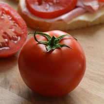 25 Stellar Tomato Seeds Slicing Tomato Variety Fresh Seeds Gardening USA - $32.00