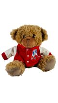 FOCO New England Patriots Plush Bear NFL Throwback Varsity Jacket Rare A... - $6.80