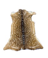 Top Grade Axis Deer Skin Size: 41x33&quot; Axis-734 - $395.01