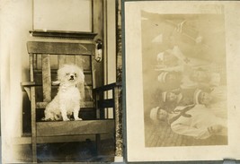Antique Sepia Photos Poodle Terrier Halloween Costume ? Nurse Sailor 8 Snapshots - £13.37 GBP