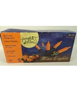 Pumpkin Hollow Indoor/Outdoor 50 Orange Halloween Lights - 14.5&#39; Cord Le... - £5.39 GBP