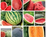 Watermelon Seeds Collection, NON-GMO, 9 Varieties, Heirloom, FREE SHIPPING - £1.32 GBP+