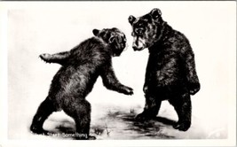 Bears on Icy Water &quot;Just Start Something&quot; Schallerer Alaska Postcard Y7 - £7.82 GBP